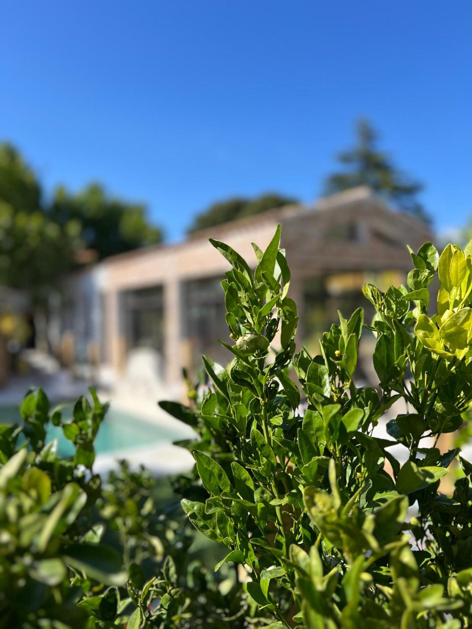 L'Intemporel Saint-Cyr-sur-Mer Eksteriør bilde